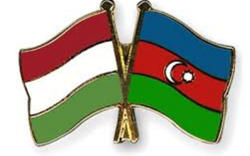 Macarıstanda 20 Yanvar faciəsi ilə bağlı kitab nəşr olunacaq
