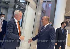 Turkish, Finnish FMs discuss Afghanistan