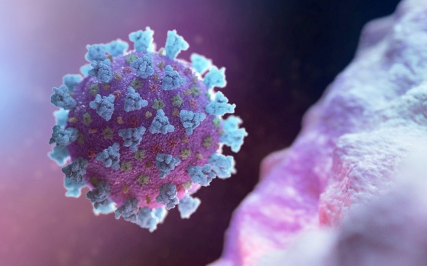 World unable to avoid second wave of COVID-19: WHO official