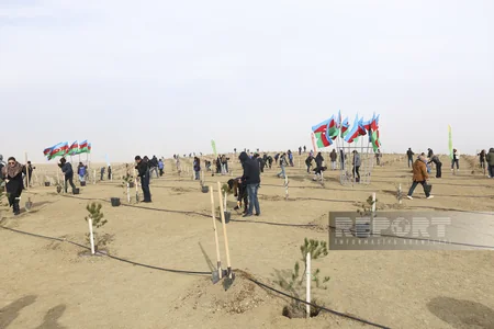 Global Media Group “Yaşıl dünya naminə həmrəylik ili” çərçivəsində ağacəkmə aksiyası keçirib