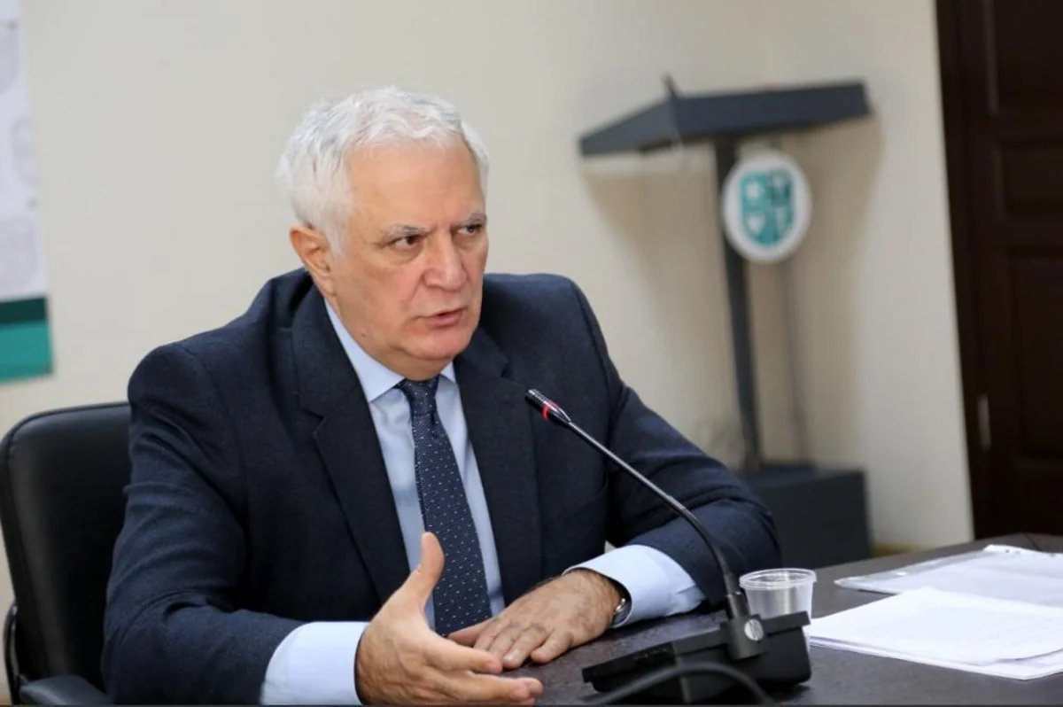 Mərkəz rəhbəri: “Gürcüstanda koronavirusla bağlı təşvişə əsas yoxdur”