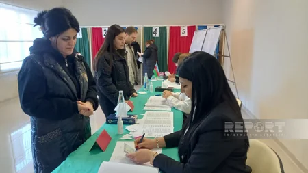 Cənub zonasında da seçici aktivliyi müşahidə olunur
