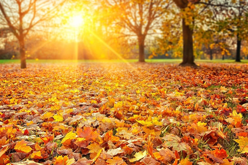 Azərbaycana payız fəslinin daxil olacağı dəqiq vaxt açıqlanıb