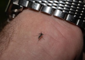 UK cases of mosquito-borne virus more than double
