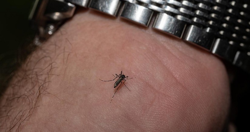 UK cases of mosquito-borne virus more than double