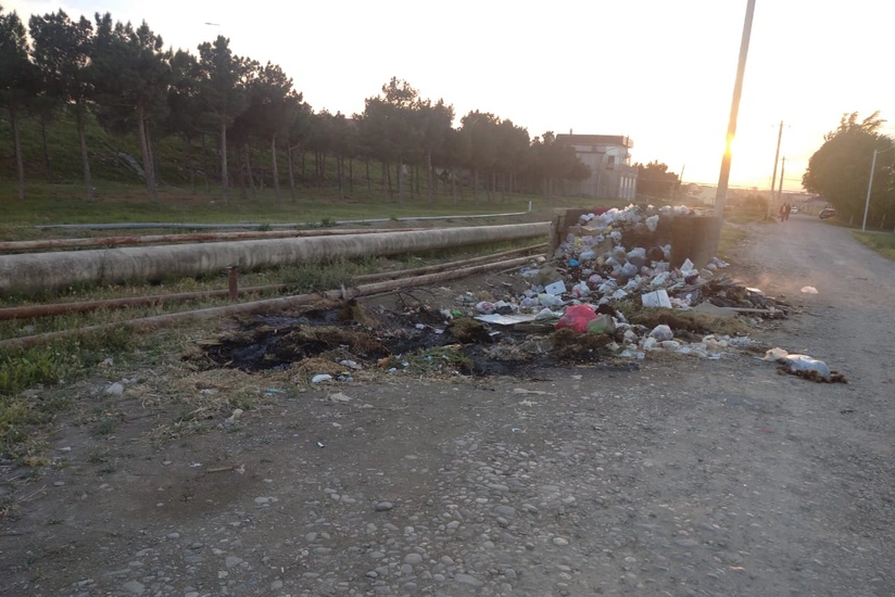Hökməli bələdiyyəsinin işçisi cəzalandırıldı