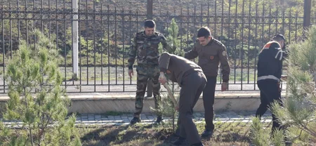 FHN-in Aran Regional Mərkəzi ağacəkmə aksiyası keçirib