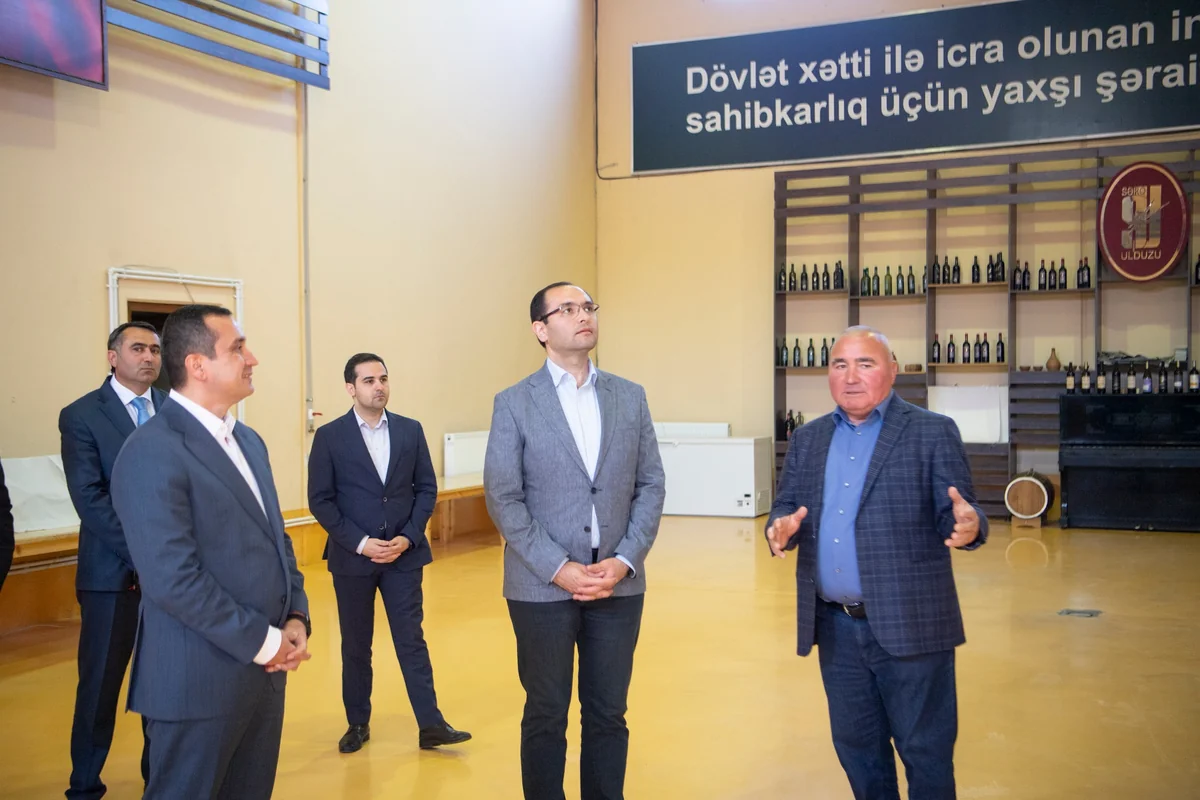Məcnun Məmmədov Ağstafa, Tovuz və Şəmkirdə təsərrüfatlara baş çəkib