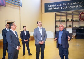 Məcnun Məmmədov Ağstafa, Tovuz və Şəmkirdə təsərrüfatlara baş çəkib