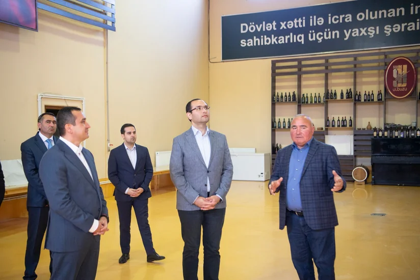 Məcnun Məmmədov Ağstafa, Tovuz və Şəmkirdə təsərrüfatlara baş çəkib