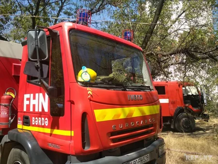 Bərdədə yanğın irigövdəli ağacları yararsız hala salıb - FOTO - VİDEO - YENİLƏNİB