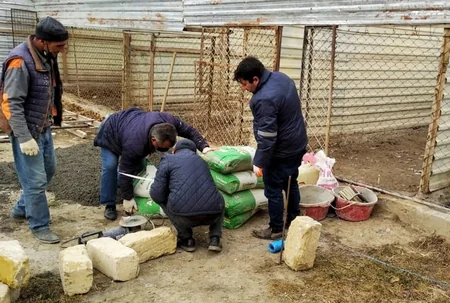Gəncədə sahibsiz heyvanlar üçün sığınacaq tikilir