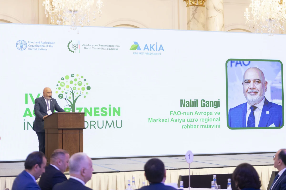 FAO: Kənd təsərrüfatında innovasiya Azərbaycanda nəticə verir