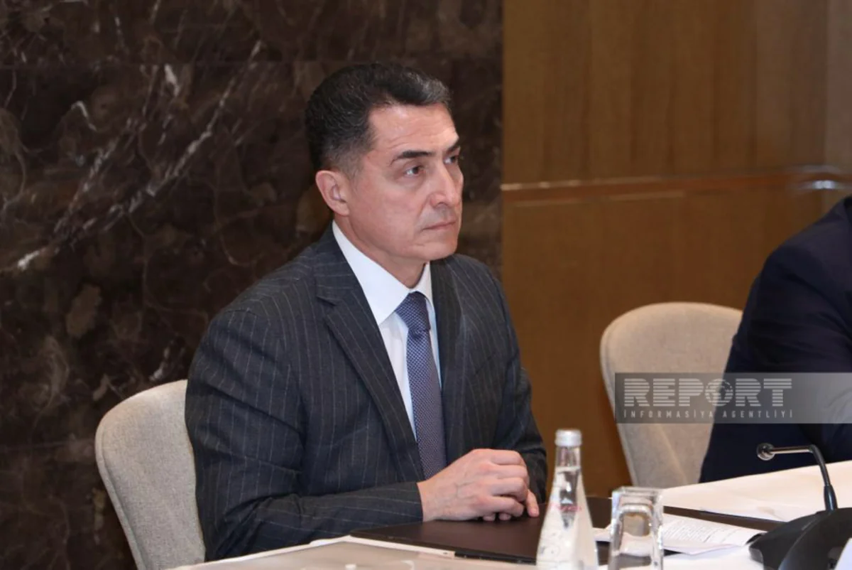 MP: 'We believe TURKPA will support just cause of Azerbaijan'
