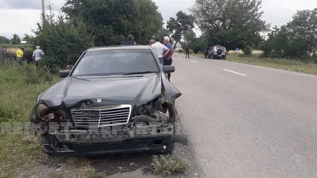 Qəbələdə avtomobillər qoyun sürüsünü vurub, heyvanlar tələf olub - YENİLƏNİB