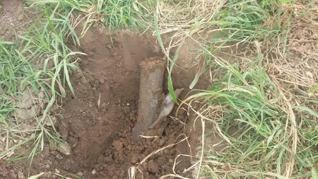 ANAMA tərəfindən 6 ədəd partlamamış hərbi sursat aşkarlanaraq götürülüb