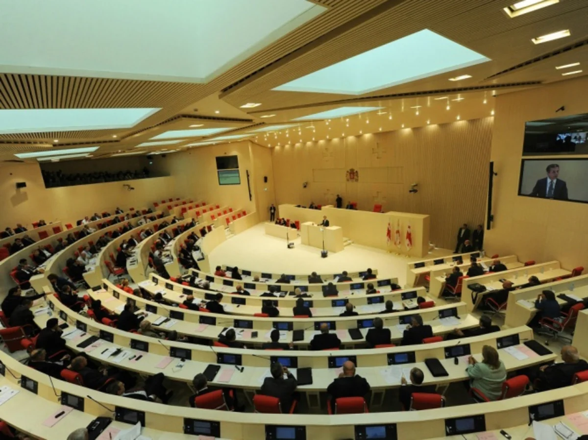 Новым вице-спикером парламента Грузии стала Нино Цилосани