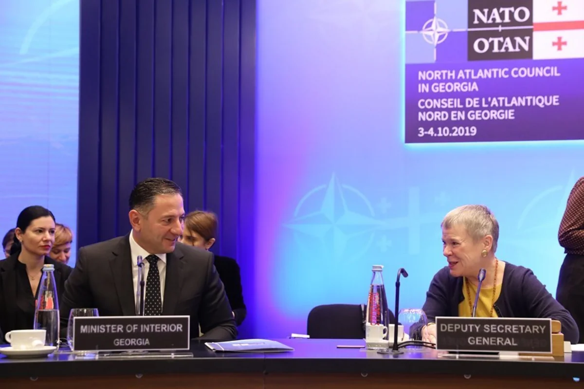 Nazir: “Gürcüstan NATO-nun etibarlı tərəfdaşıdır”