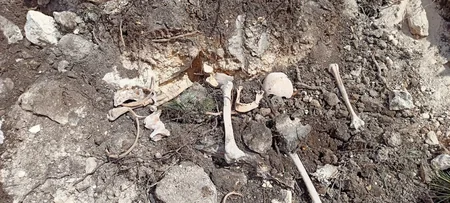 Fərruxda qazıntılar zamanı daha bir neçə azərbaycanlının meyitlərinin qalıqları tapılıb