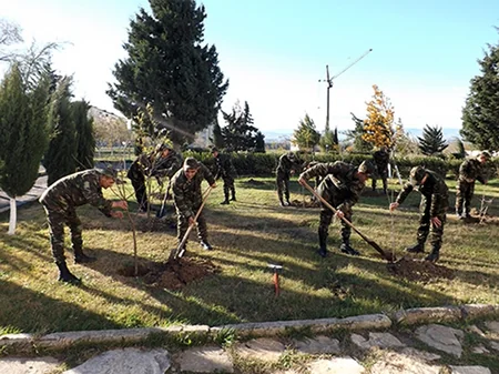 ​Silahlı Qüvvələrdə ağacəkmə aksiyasına start verilib