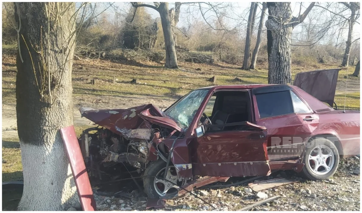 Şəkidə avtomobil ağaca çırpılıb, xəsarət alanlar var