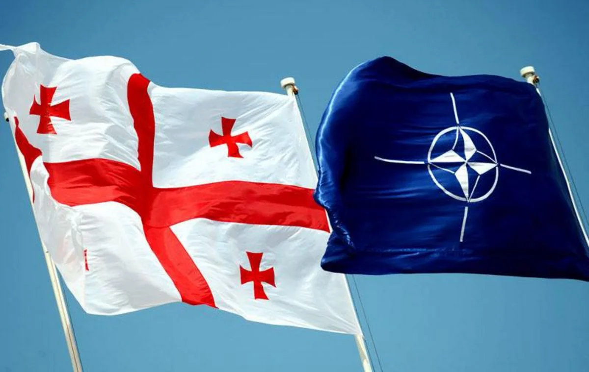 Gürcüstanda NATO-nun təlimi keçiriləcək