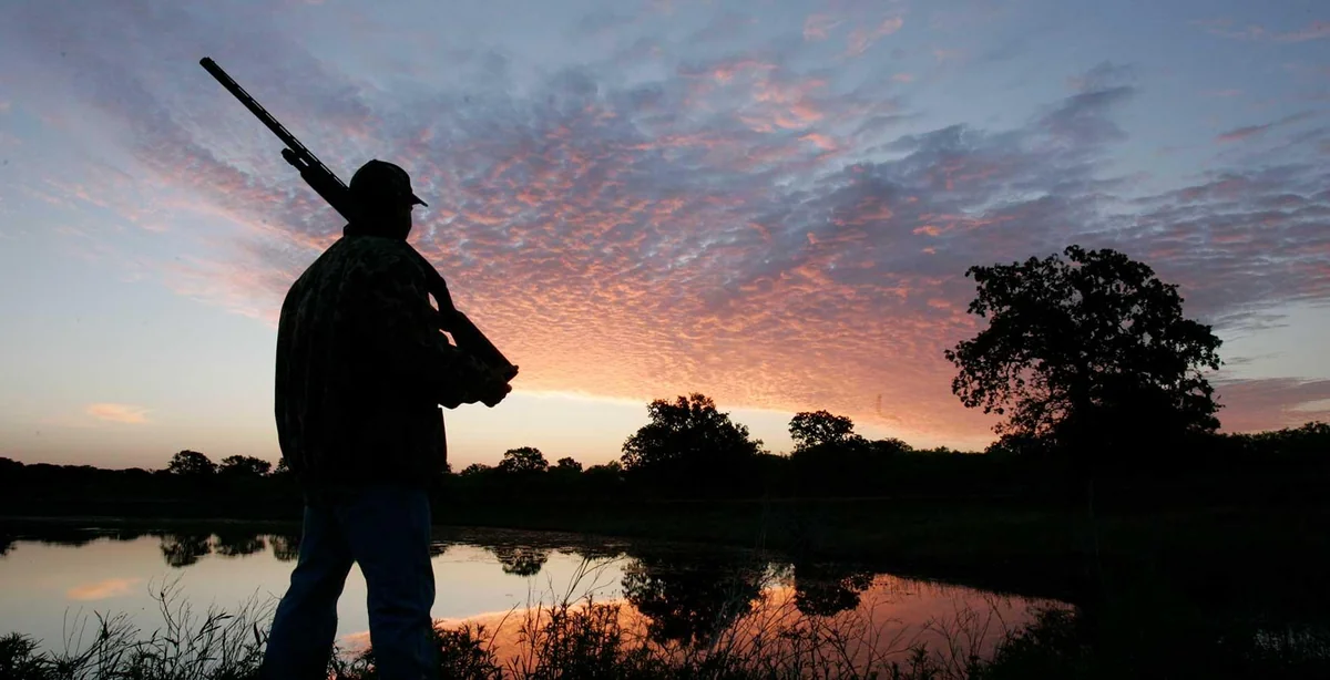 Hacıqabulda qanunsuz ov edən şəxs saxlanıldı