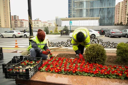 “Ana fəryadı” abidəsinin yerləşdiyi parkda abadlıq işləri aparılır