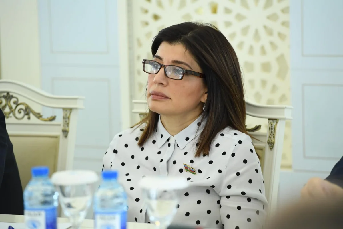 Günay Əfəndiyeva: Azərbaycan dilinin qorunması milli təhlükəsizlik baxımından əhəmiyyətlidir