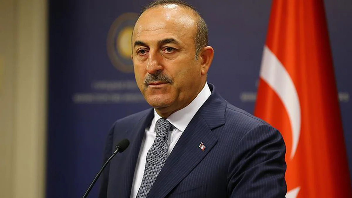 Mevlüt Çavuşoğlu meets with Serbian FM