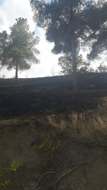 Şabrandakı yanğın söndürülüb