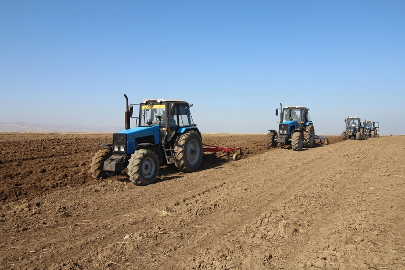 Azərbaycanda 177 min hektar sahədə yay şumu aparılıb