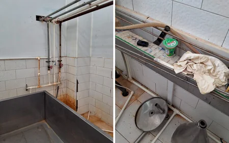 Naxçıvanda süd emalı sexinin fəaliyyəti məhdudlaşdırılıb
