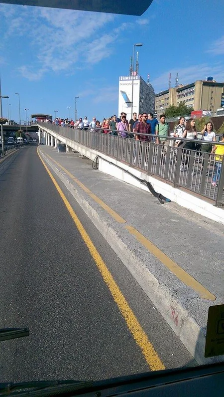 ​İstanbulda ictimai nəqliyyat ödənişsiz işləyir - FOTO