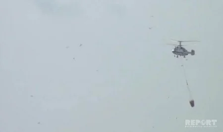 Qəbələdə baş verən meşə yanğınları yeni ərazilərə keçib - FOTO - YENİLƏNİB