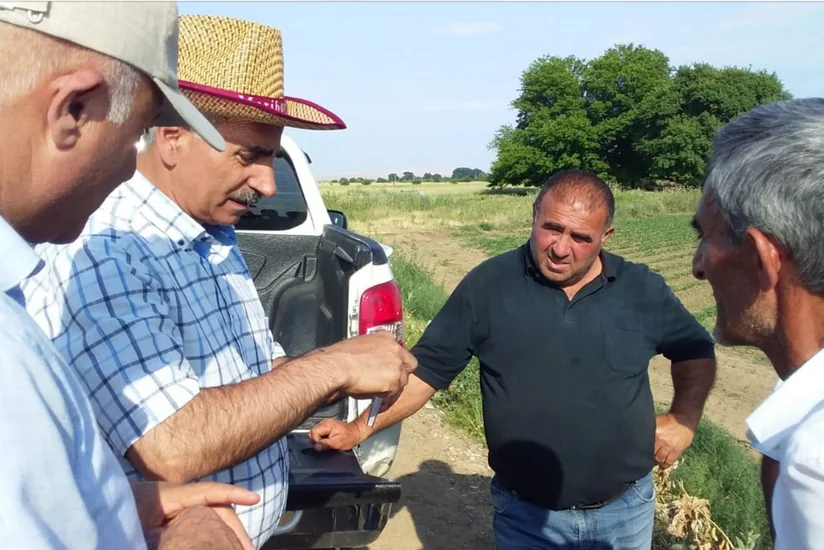 Pambıqçılıqda məhsuldarlığın artırılması ilə bağlı təlimlər keçirilir