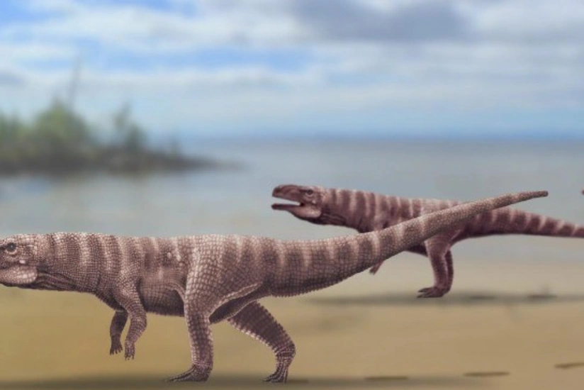 Ученые обнаружили древнего ходившего на двух лапах крокодила - ФОТО