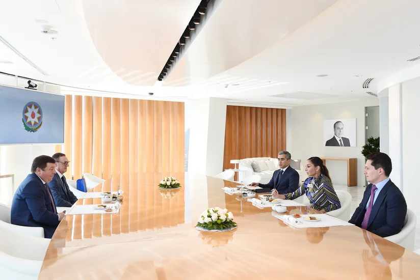 First VP Mehriban Aliyeva met with Rector of Sechenov First Moscow State Medical University