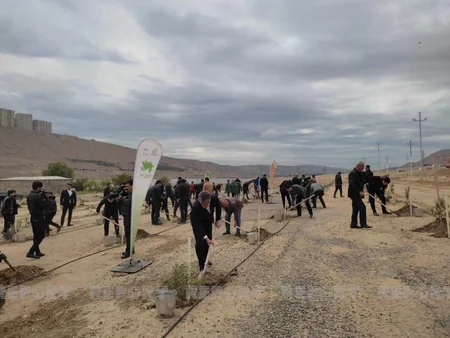 Bakıda Beynəlxalq Bitki Sağlamlığı Günü münasibətilə ağacəkmə aksiyası keçirilib
