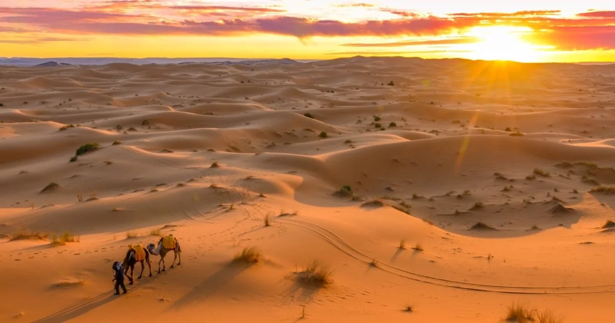 Scientists discover human population believed to have disappeared 50 years ago in Namib desert