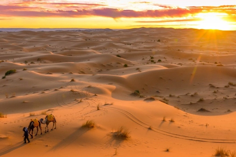 Scientists discover human population believed to have disappeared 50 years ago in Namib desert