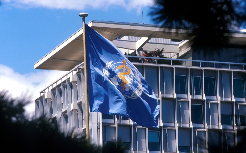 WHO experts call Wuhan report insufficient