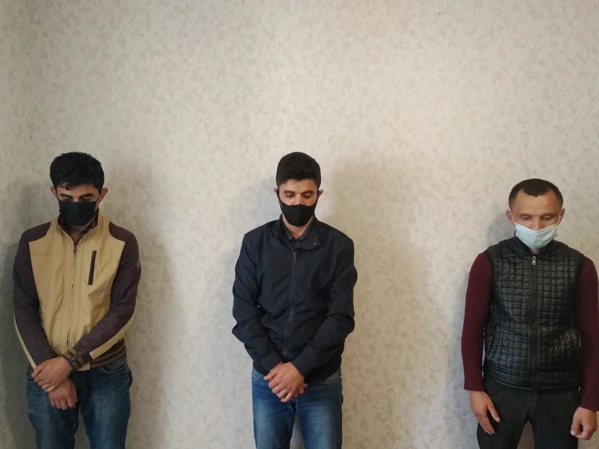 Saatlıda heyvan oğruları saxlanıldı