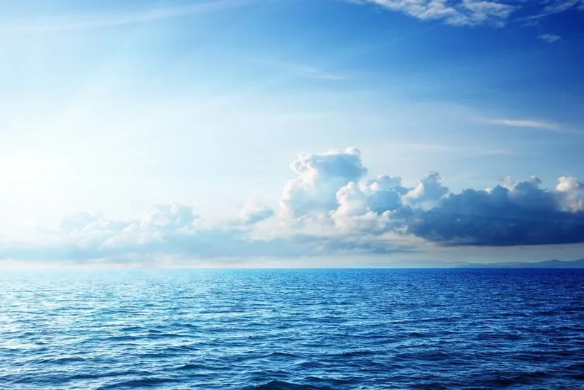 Tramp Çin və Yaponiyanı dünya okeanını çirkləndirməkdə ittiham edib