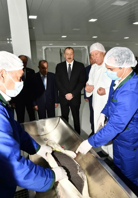 Yevlaxda balıqartırma müəssisəsi istifadəyə verilib