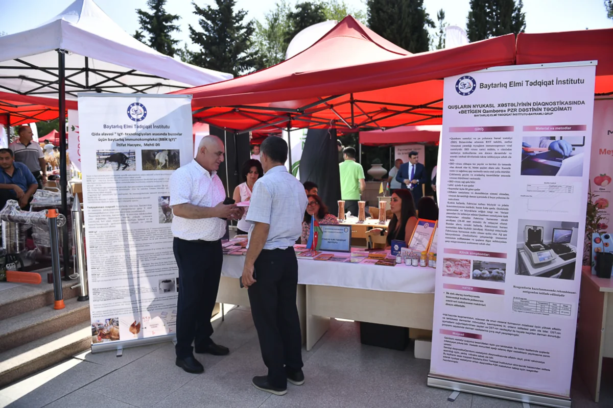 Şamaxıda növbəti toxum sərgi-satış yarmarkası keçirilib