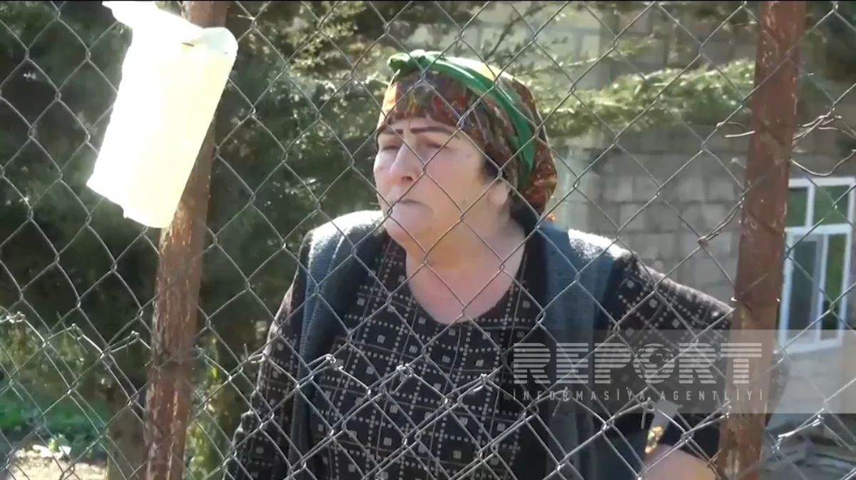 Cəlilabadda 3 gün əvvəl itkin düşən qadının anası: Qızım hamilə olanda əri onu dilənçiliyə məcbur edib