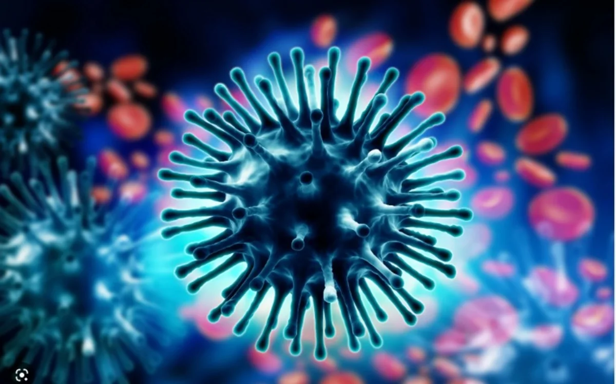 Səhiyyə Nazirliyi: Azərbaycanda influenza virusu yayılıb