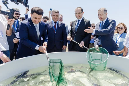 Nazir: Balıq ehtiyatlarının düzgün idarə olunması iqtisadi fəaliyyəti davamlı edir