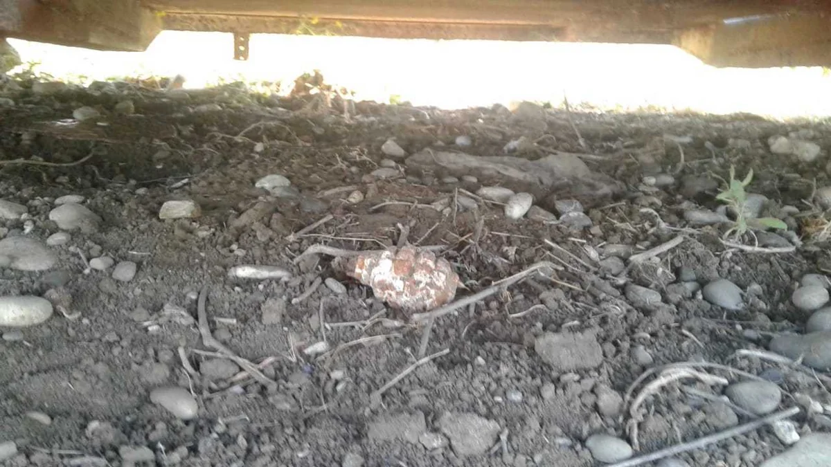 Ağstafada F-1 əl qumbarası aşkarlanıb - FOTO